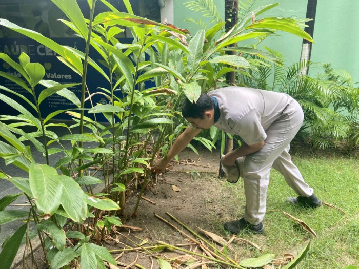 Foto: Reprodução/Secom Ceará