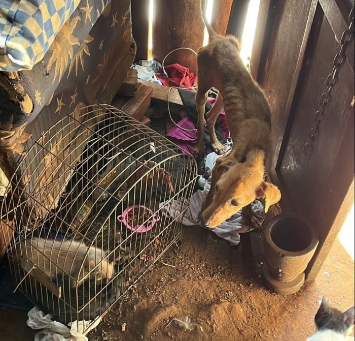 Foto: Reprodução/Polícia Civil - MS