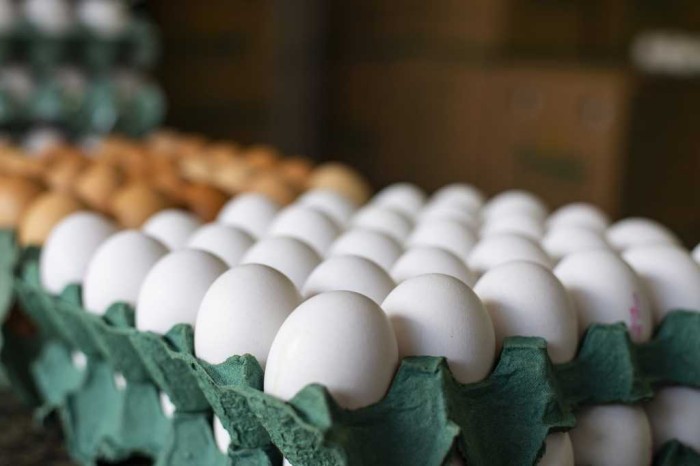 Confira benefícios do ovo para a saúde