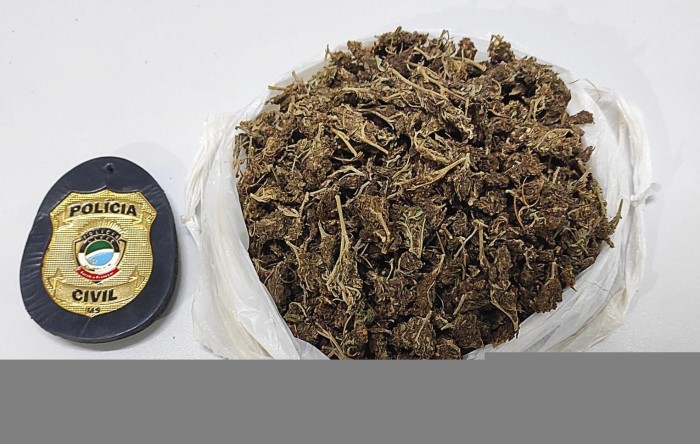 Foto: Reprodução/Polícia Civil - MS