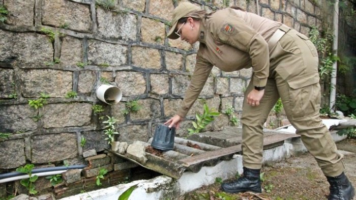 Foto: Reprodução/Secom SC