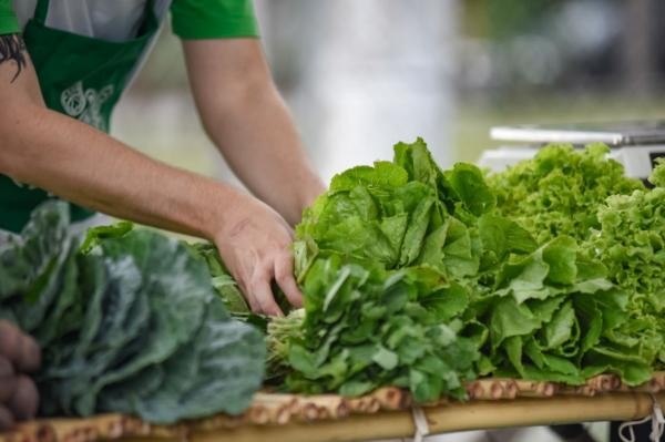 Mauricio reitera pedido por barracão para atender o pequeno produtor no Rota do Sol