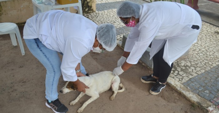 Foto: Reprodução/Prefeitura de Feira de Santana - BA
