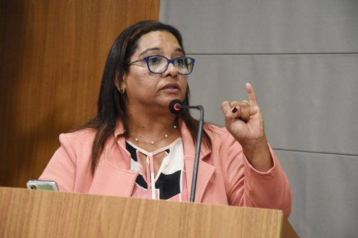 Professora Eva destaca atuação de conselheiros tutelares em São Luís