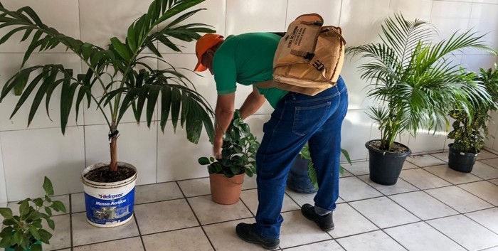 Foto: Reprodução/Prefeitura de Feira de Santana - BA