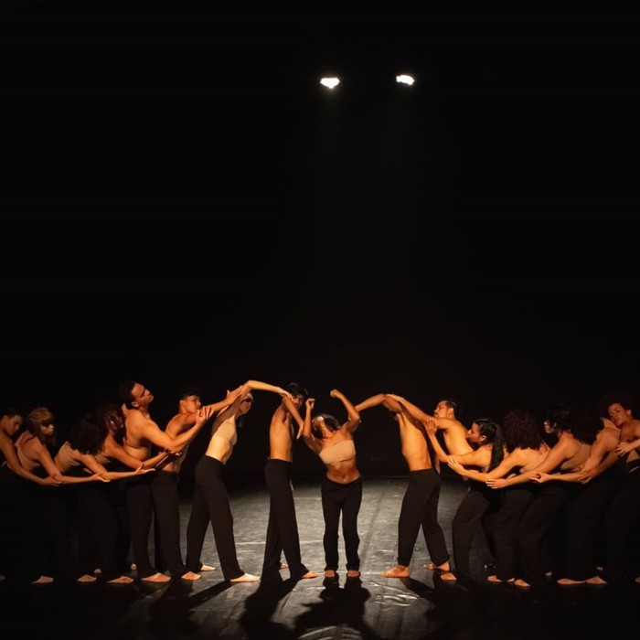 Curso de Dança da UEA recebe nota máxima em avaliação do Conselho Estadual de Educação
