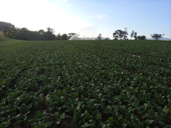 Aviso de Pauta: Secretaria da Agricultura e Secretaria de Governança Fundiária promovem Oficina Nacional de Crédito Fundiário