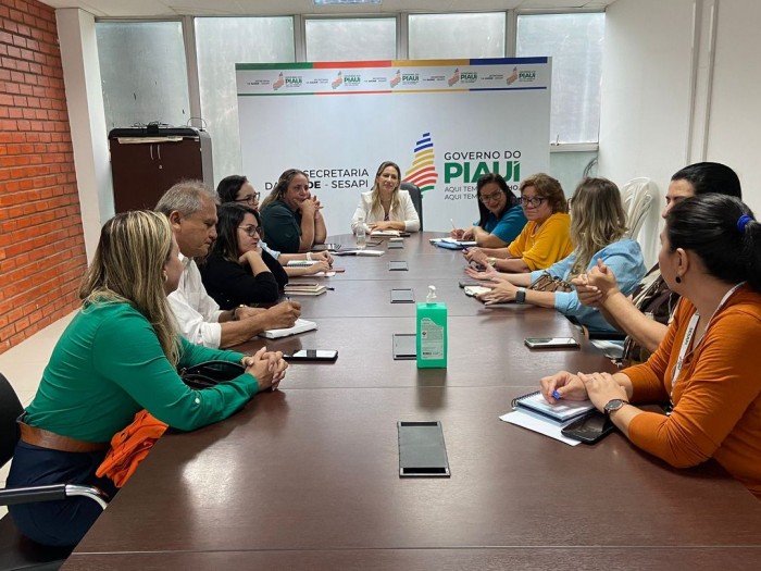 Sesapi discute criação de comitê de prevenção a emergências públicas e enfrentamento à dengue no estado