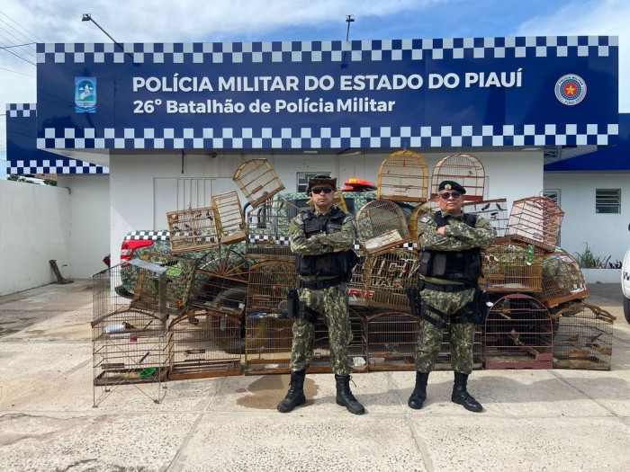 Batalhão Ambiental apreende 50 aves silvestres na cidade de União