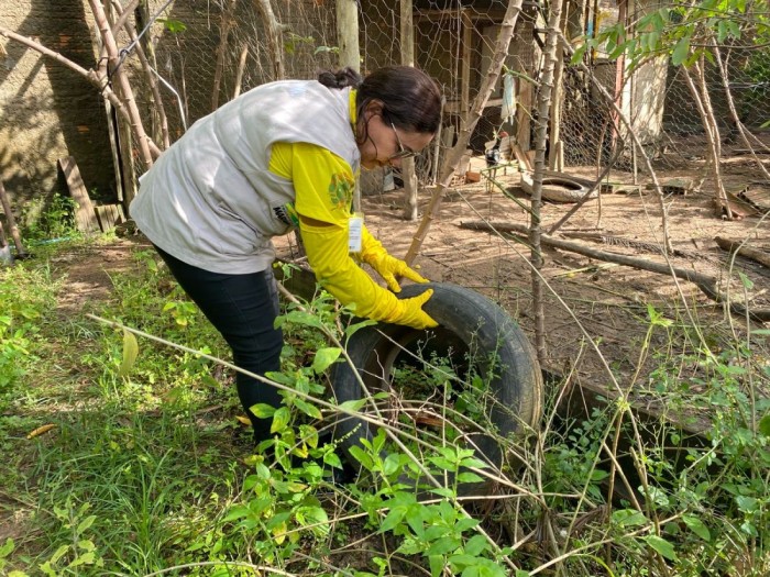 Saúde: Departamento de Endemias amplia ações de combate à dengue nos bairros de Marabá e registra 25 casos nos primeiros meses de 2024