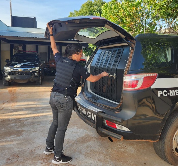 Foto: Reprodução/Polícia Civil - MS