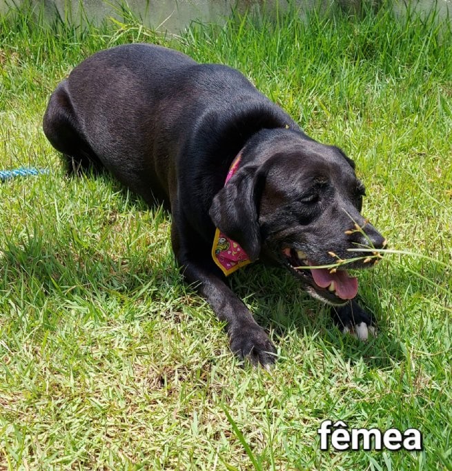 Foto: Reprodução/Prefeitura de São Sebastião - SP