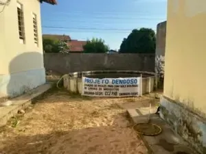 Pesquisadores da Uespi utilizam peixes para combater larvas do mosquito da Dengue