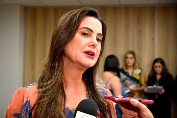 De autoria da deputada Mara Caseiro, a nova lei foi requerida pela população e lideranças políticas de Jardim 