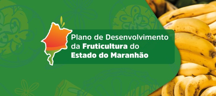Governo lança Plano de Desenvolvimento da Fruticultura do Estado do Maranhão
