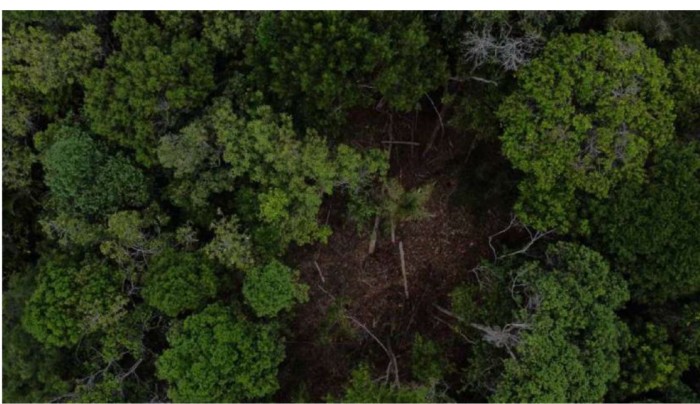 Foto: Reprodução/MP - BA