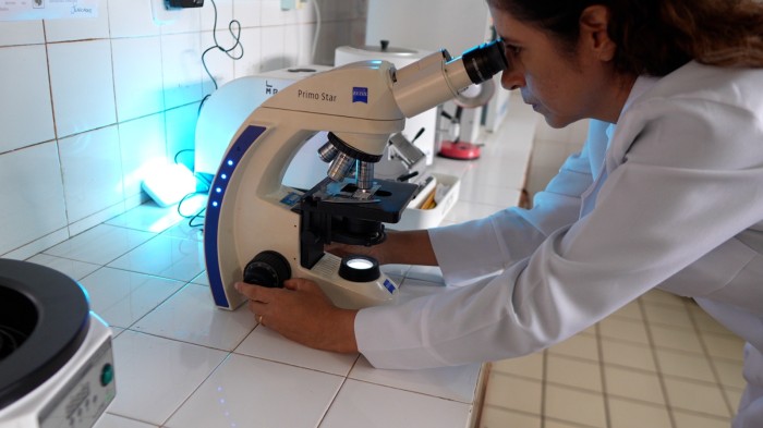 - Dos 55.172 pesquisadores cadastrados no Patronage (sistema que gerencia bolsas e auxílios da Fundação), 30.344 são mulheres (Foto: Divulgação)
