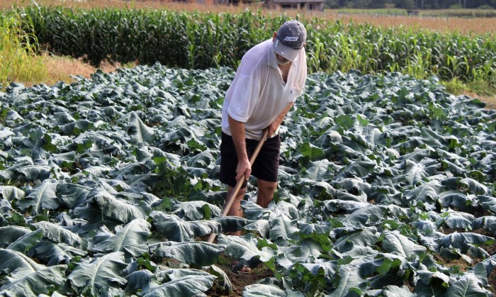 Governo de SC viabiliza inclusão de trabalhadores assentados no Cadastro de Produtor Primário