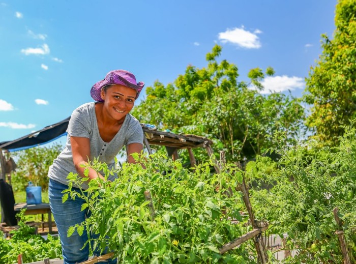 Governo do Estado investe no trabalho das mulheres rurais para o desenvolvimento da agricultura familiar e segurança alimentar
