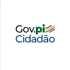 Informe de rendimentos será disponibilizado pelo Gov.pi Cidadão