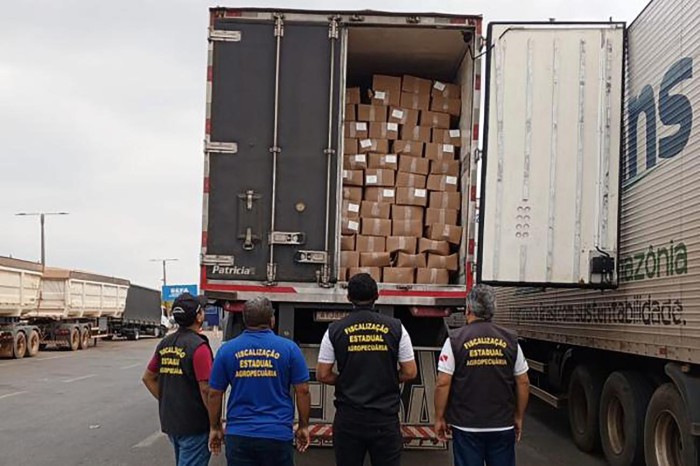 Crédito: Divulgação