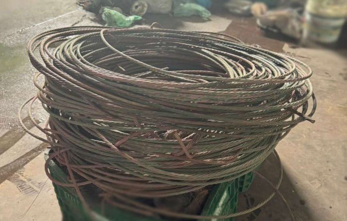 Foto: Reprodução/Secom Ceará