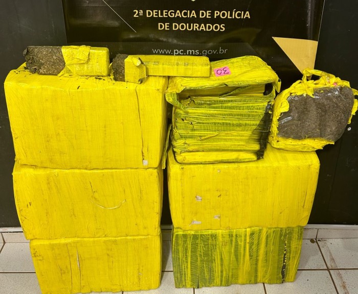 Foto: Reprodução/Polícia Civil - MS