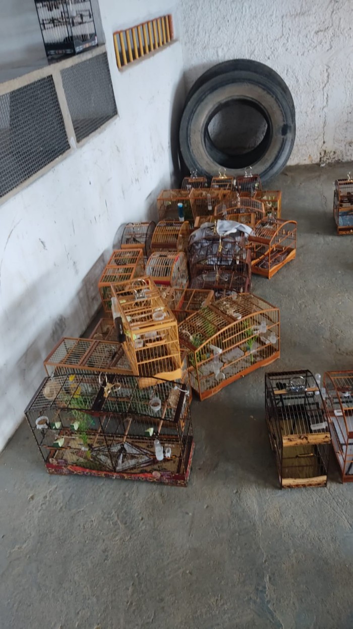 Foto: Reprodução/MP - BA