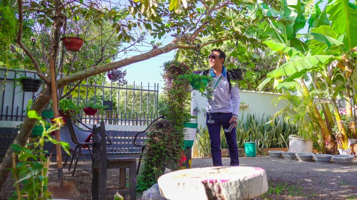 Saúde atualiza cenário epidemiológico sobre a dengue em Lucas do Rio Verde