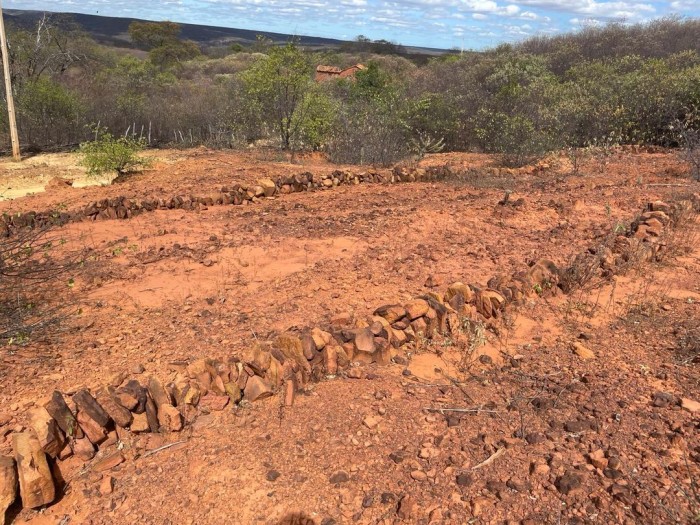 Fapepi investe em projeto no semiárido piauiense para recuperação da biodiversidade do solo