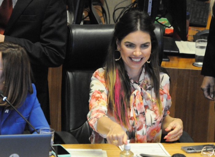 Foto: Rinaldo Morelli/ Agência CLDF