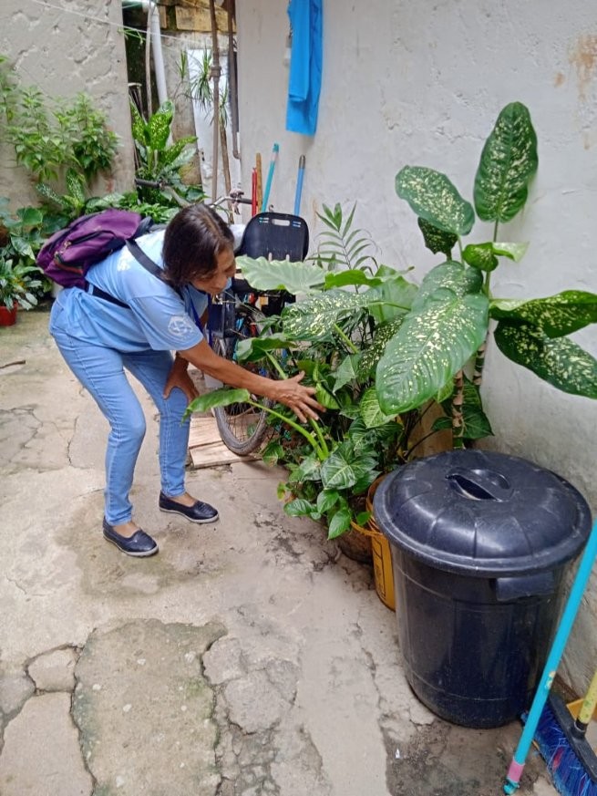 Foto: Reprodução/Prefeitura de São Sebastião - SP