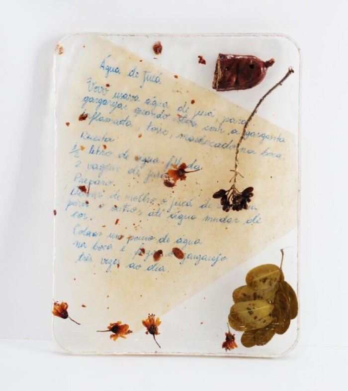 Foto: Reprodução/Agência Amazonas