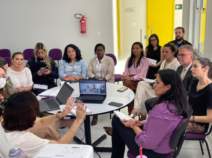 Colegiado Gestor da Casa da Mulher Brasileira de Teresina discute diretrizes para atendimento integral e humanizado