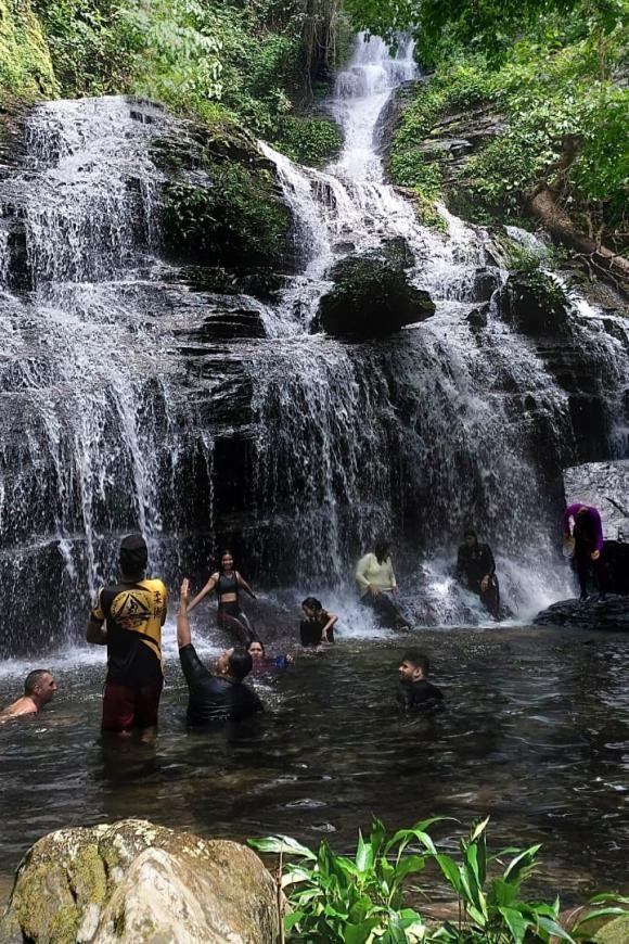 Crédito: GRA/IDEFLOR-Bio/Divulgação
