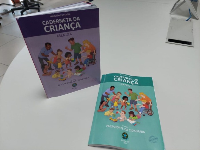 Sesapi recebe Cadernetas de Saúde da Criança e inicia distribuição na próxima semana