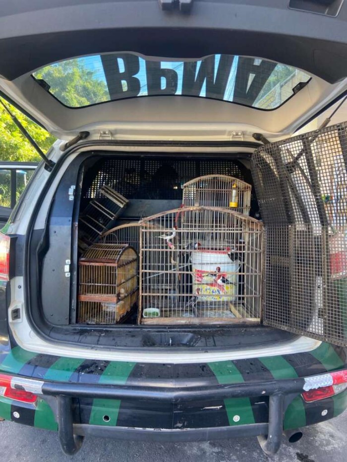 Foto: Reprodução/Secom Ceará