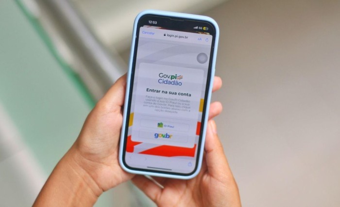 Gov.pi Cidadão: plataforma digital garante a segurança dos dados do usuário 