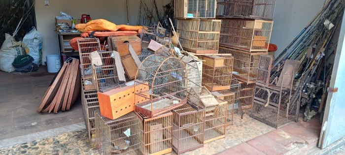 Meio Ambiente promove destruição de mais de 4 toneladas de materiais apreendidos em ações de fiscalização