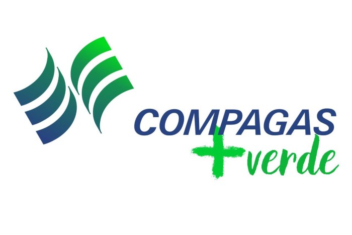 Foto: Reprodução/Secom Paraná