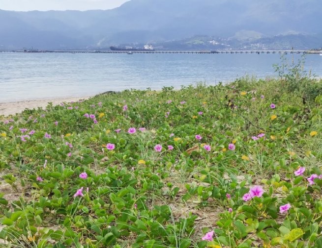 Foto: Reprodução/Prefeitura de São Sebastião - SP