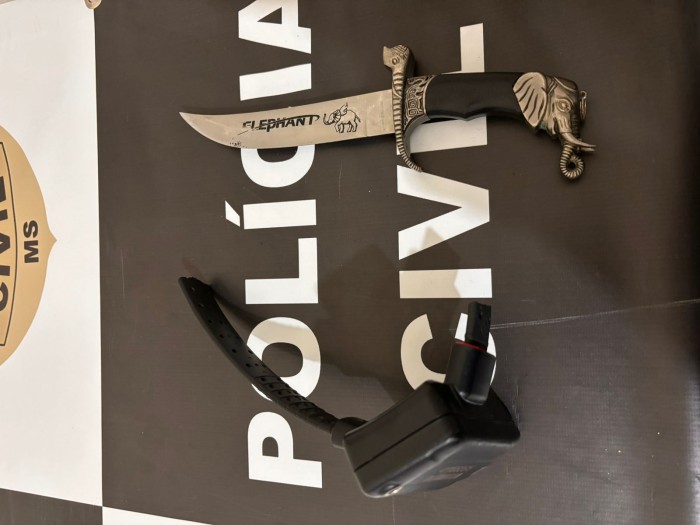 Foto: Reprodução/Polícia Civil - MS