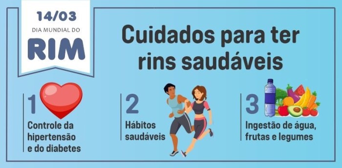 Dia Mundial do Rim: cuidados são essenciais para manter os rins saudáveis
