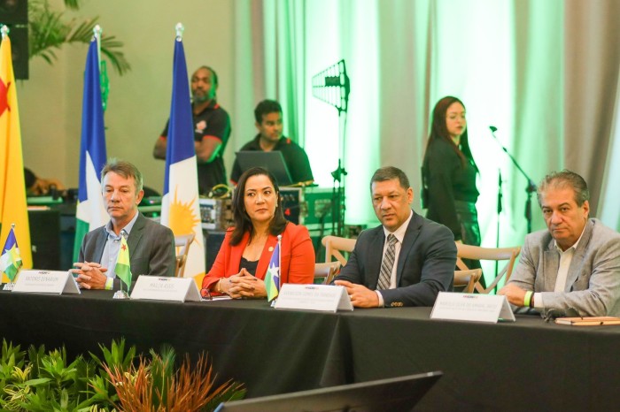 Vice-governadora representa Acre em discussão sobre segurança e eficiência energética no Brasil