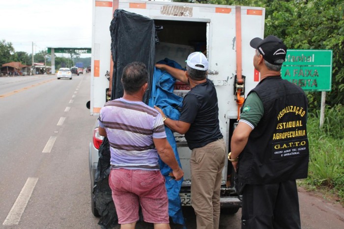 Crédito: Divulgação