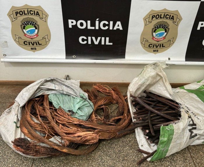 Foto: Reprodução/Polícia Civil - MS