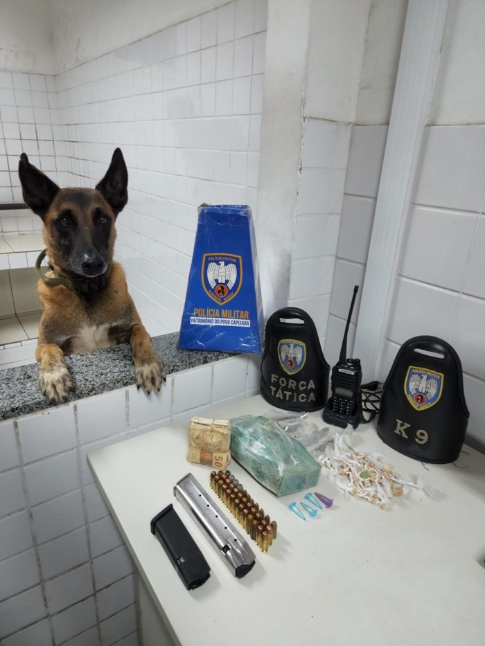 6º Batalhão apreende entorpecentes no município de Serra