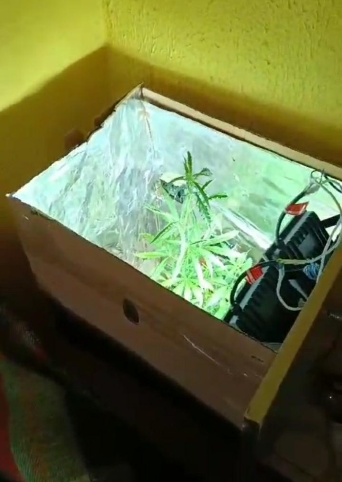 Foto: Reprodução/Secom Ceará