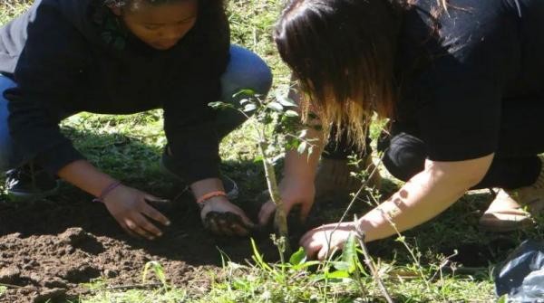 Parlamentar reitera pedido para implantação de Escola Técnica Agrícola no Jonas Pinheiro