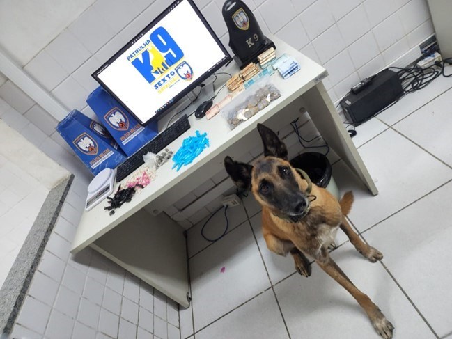 6º BPM REALIZA APREENSÃO DE DROGAS E ARMA NA SERRA